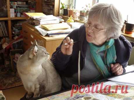Lesley Anne Ivory - Ivory Cats™