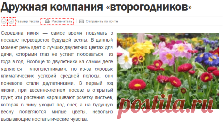Дружная компания «второгодников» » Уютный сад
