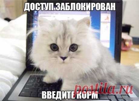 )))