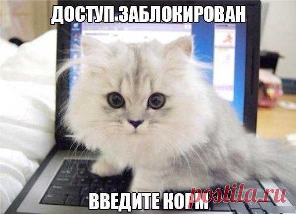 )))
