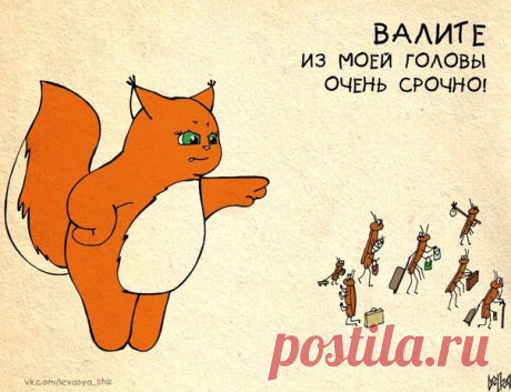 Крошка Ши (Часть 2)