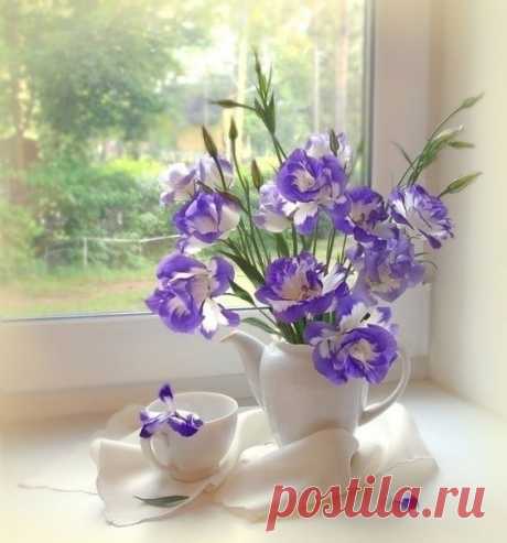 Цветочно-утренняя нежность