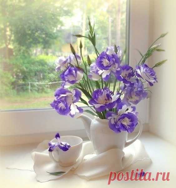 Цветочно-утренняя нежность