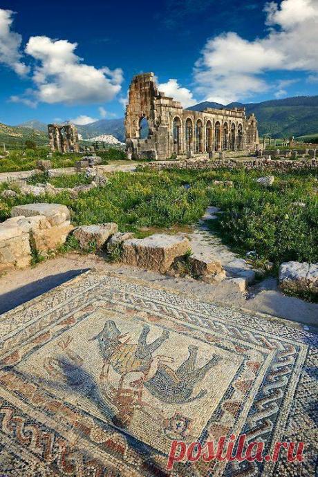 ancientorigins:
“Beautiful Roman mosaic in the House of the Athlete, Morroco”