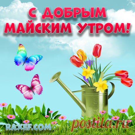 Открытки с добрым майским утром! Доброе майское утро! Доброе весеннее утро... | Страница 2