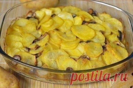 Картошка с грибами в сметане - Лучшие кулинарные рецепты интернета