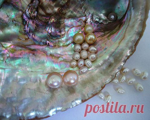 Как моллюски создают жемчужину