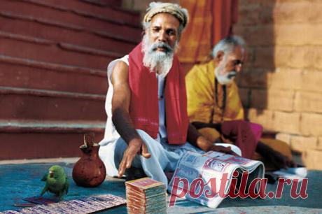 Прогноз индийского астролога по СВО | НеизВЕДанные ВЕДы | Дзен