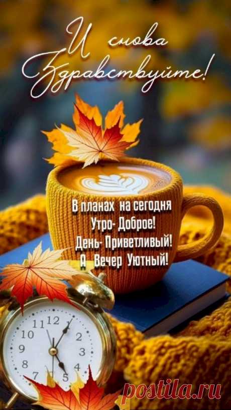 2062dd1c.jpg (576×1024)