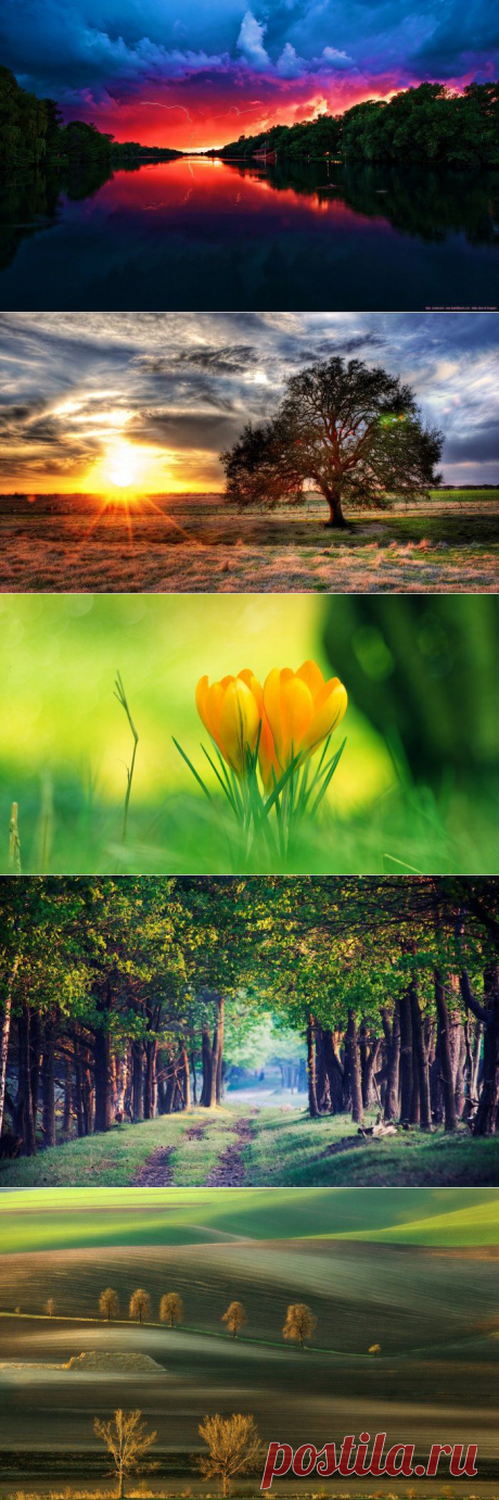 Бесподобная природа.