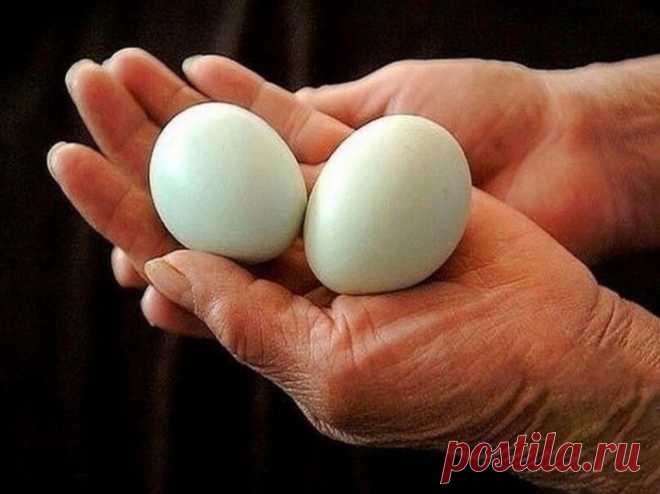 Если вы заболели - откройте холодильник. Куриное яйцо вам поможет!