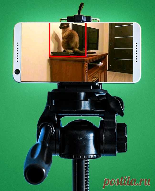 9 секретных функций смартфона, о которых важно узнать прямо сейчас