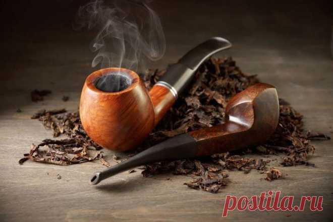 Самые смешные запреты русских царей