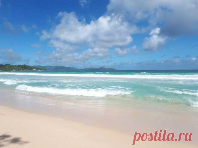 Астрологический прогноз на понедельник, 16 августа 2021 года. День Луны
Сомавара — Понедельник, день Луны. Шукла Пакша, Аштами — Восьмой день Светлой Луны. Комбинация элементов дня : Огонь и Вода — Разрушение. Благоприятный день для общения, свиданий, супружеских взаимоотношений, занятий с детьми, ведения домашнего хозяйства и кулинарии, торговли, образования и обучения, занятия науками,...
Читай дальше на сайте. Жми подробнее ➡