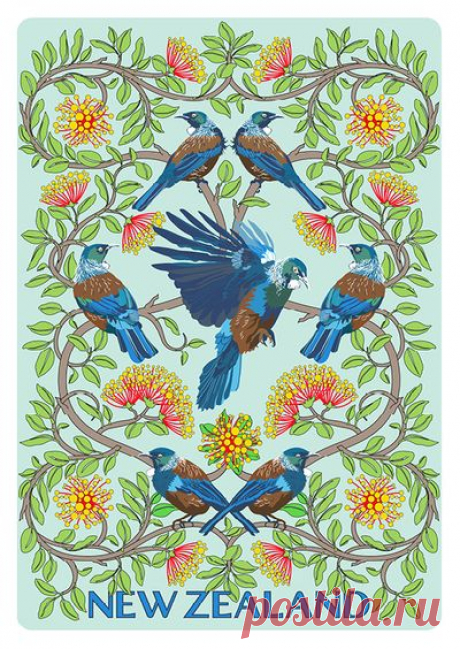 Ekara Postcard of New Zealand Tui by Iska Montero with code 0A0