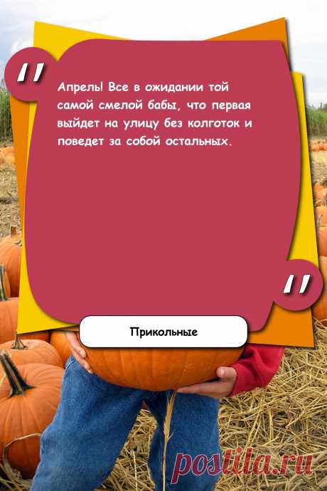 Цитата про «Приколы» — Апрель! Все в ожидании той самой смелой бабы, что…