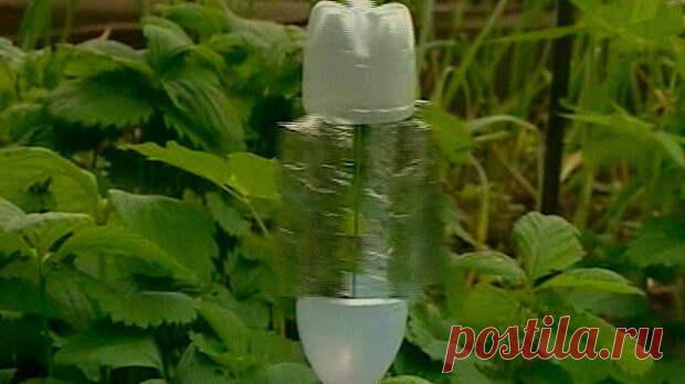 Пугало огородное
Пугало огородное с пластиковых бутылок Вращающиеся даже от несильного ветра ветрячки-флюгеры являются...
Читай пост далее на сайте. Жми ⏫ссылку выше