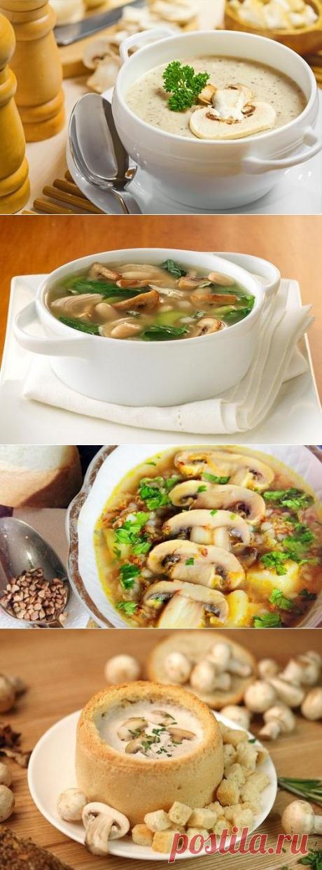 Готовим вкуснейший грибной супчик: 3 рецепта — Вкусные рецепты