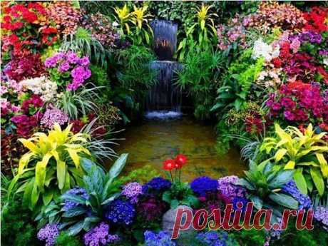 ❁⁀ ♥ ⁀✿ ✫ℒℴνℯ✫ ❁⁀ ♥ ⁀✿