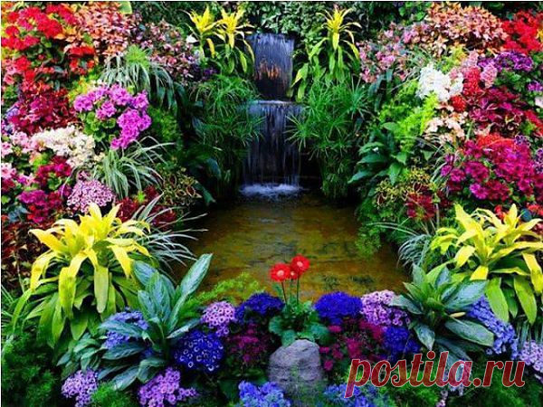 ❁⁀ ♥ ⁀✿ ✫ℒℴνℯ✫ ❁⁀ ♥ ⁀✿