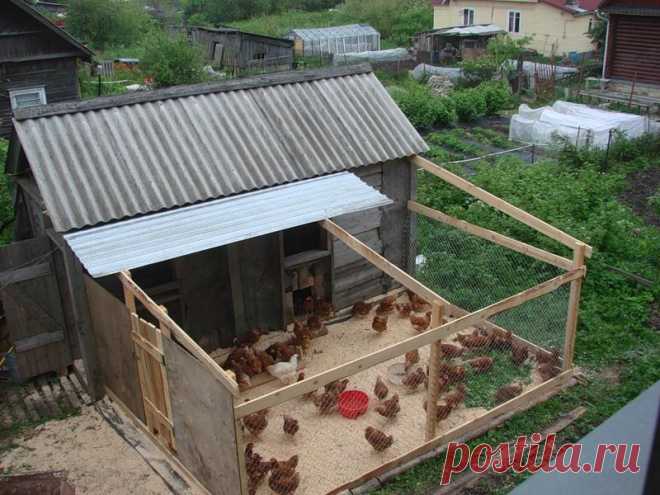 Для тех кто хочет выращивать кур