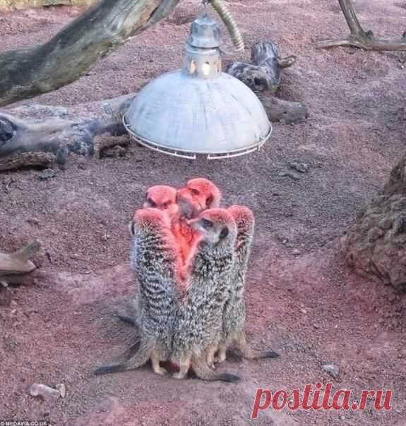 Там где тепло