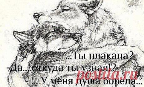 Верить людям несложно, сложно поверить заново.
