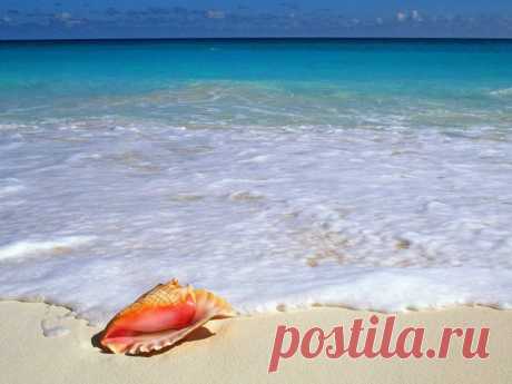 картинки природа красивые - 484 тыс. картинок. Поиск Mail.Ru