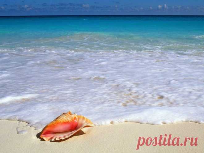 картинки природа красивые - 484 тыс. картинок. Поиск Mail.Ru