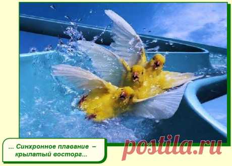 ХОРОШЕГО ВАМ НАСТРОЕНИЯ