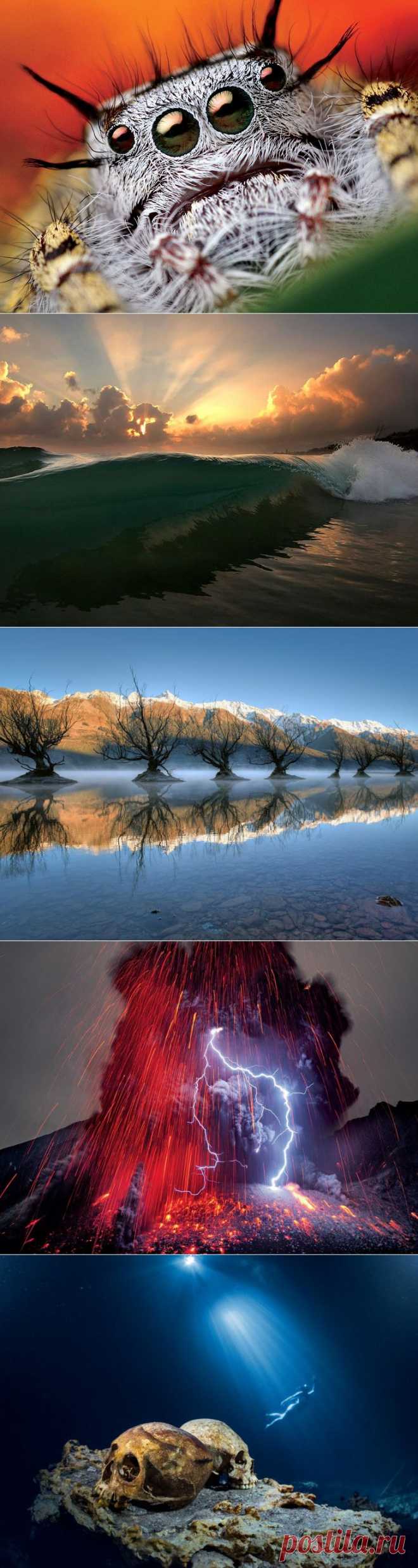 >> National Geographic: лучшие фотографии сентября | ФОТО НОВОСТИ