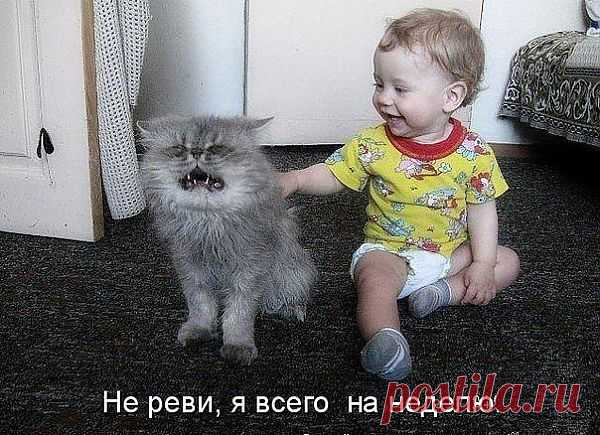 Не реви...