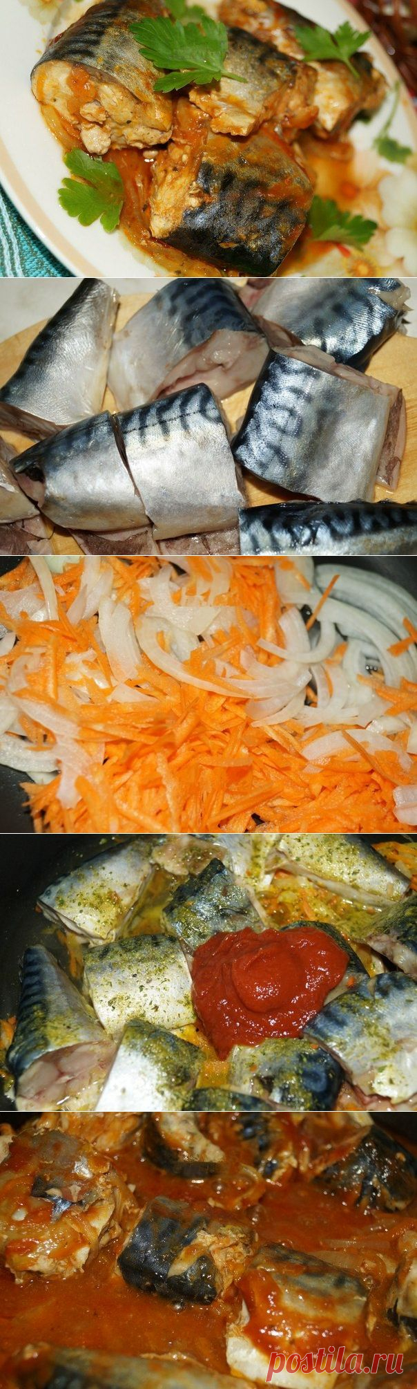 Рецепт скумбрии, тушеной с морковью и луком.