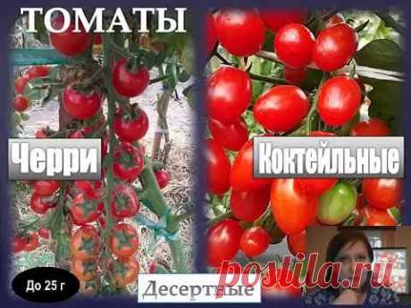 Томатные хитрости (всё о выращивании томатов)