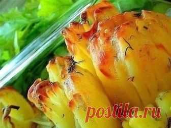 Необычные картофельные «ежики» стали в моей семье любимым блюдом! Дофине (фр. Dauphinе) — историческая область Франции. Какое отношение она имеет к рецепту запеченного с сыром картофеля, нам доподлинно неизвестно. Но, надо отметить, что выглядит картофель «Дофине» очень красиво. Изысканность ему придает аромат мускатного ореха, а пикантность — легкий чесночный привкус.  Вариантов приготовления картофеля «Дофине» существует множество. Мы предлагаем попробовать самый интерес...