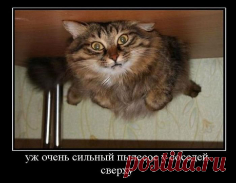 Потрясающие живые фотографии (24 фотографии) - JokesLand - Самый лучший юмор сети