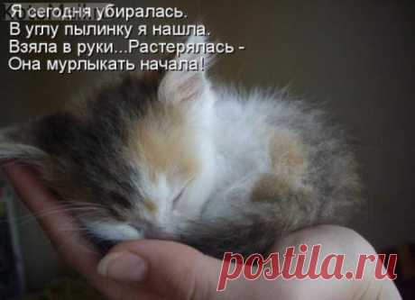 Пылинка