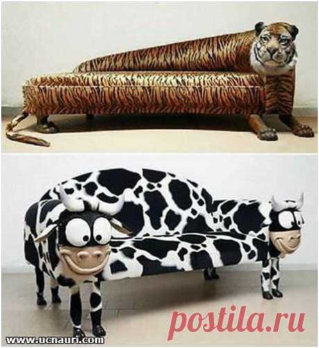 ну, что кому ближе: пампасы или поля родные?
