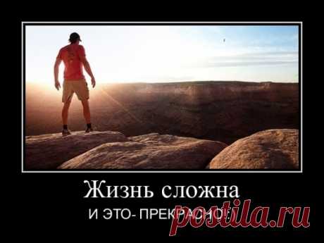 О жизни