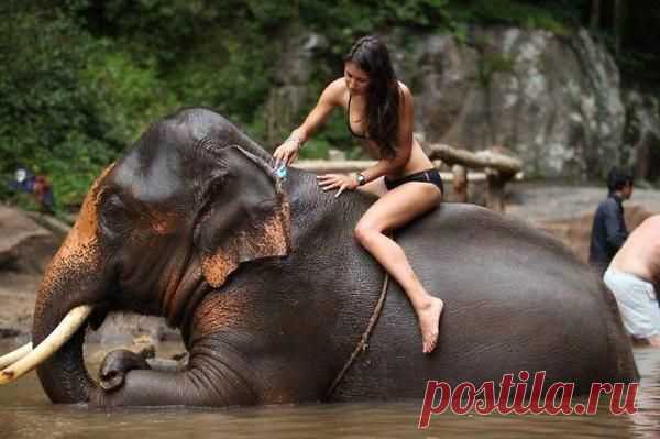 a.baa-Woman-Riding-an-elephant.jpg (600×399)