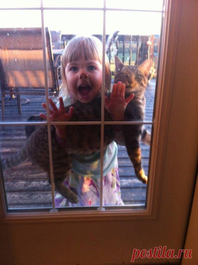 22 причины, почему люди никогда не перестанут любить котиков