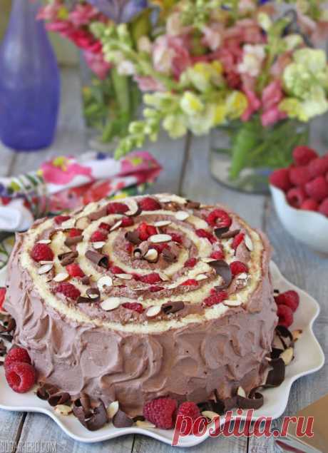 Raspberry Almond Spiral Cake - SugarHero