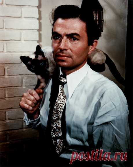 Джеймс Мейсон, 15 мая, 1909
 • 27 июля 1984