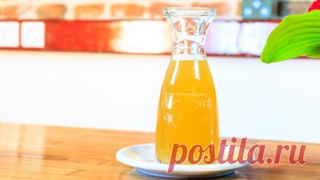 Té kombucha - Conoce todos sus beneficios para la salud