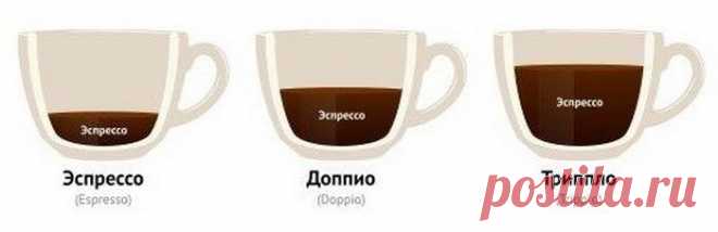 Шпаргалка для кофеманов