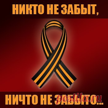 Анна Солохина