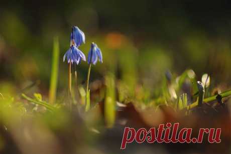 35PHOTO - Роман Рысь - Буйство света и красок