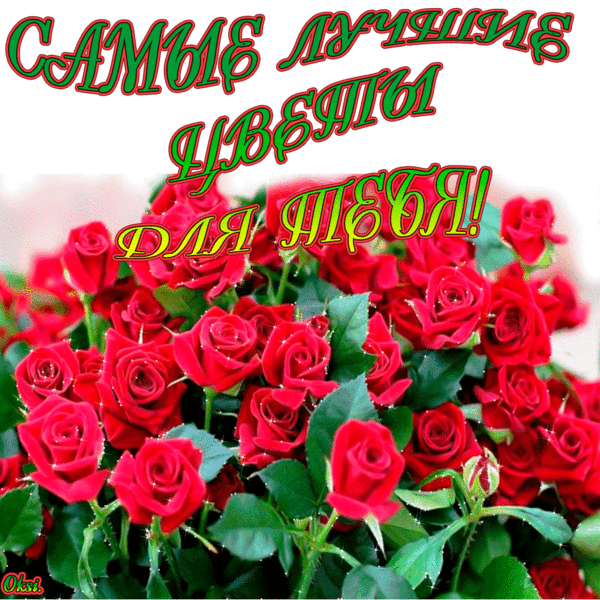Мой Мир@Mail.Ru