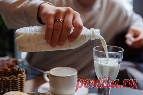 Чем айран отличается от тана и что лучше утоляет жажду: объяснение биолога - 21 июня 2026 | 76.ру