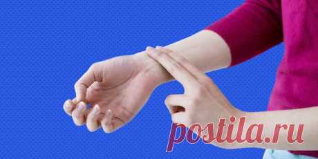 Влияет ли частота пульса на продолжительность жизни? Пульс ниже 60 | SerdcePlus | Яндекс Дзен